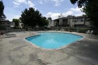 Building Photo - Springtree Apartments in Chino, California