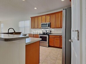 6019 Blue Sage Dr in Land O Lakes, FL - Building Photo - Building Photo