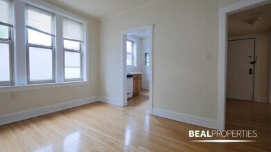 552 W Aldine Ave in Chicago, IL - Building Photo - Building Photo
