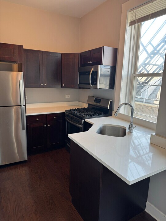 1461 W Fry St in Chicago, IL - Building Photo