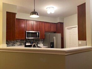 24130 Walnut Cir in Plainfield, IL - Building Photo - Building Photo