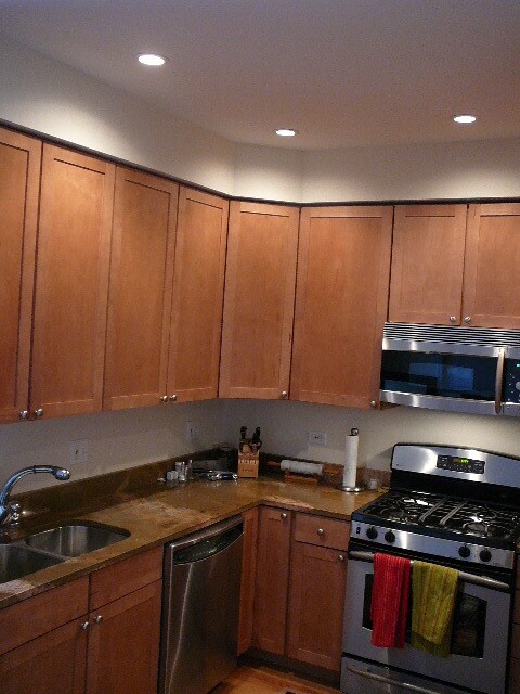 421 W Armitage Ave in Chicago, IL - Building Photo - Building Photo