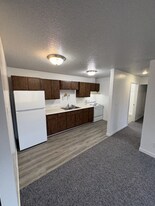 306 S 2nd St, Unit 1 in Beaver Creek, MN - Building Photo