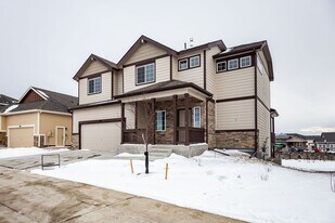 1878 Covered Bridge Pkwy in Windsor, CO - Building Photo