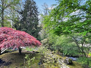 5701 SW Hamilton St in Portland, OR - Building Photo - Building Photo