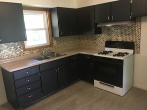 108 Hillsdale St in Battle Creek, MI - Building Photo - Building Photo