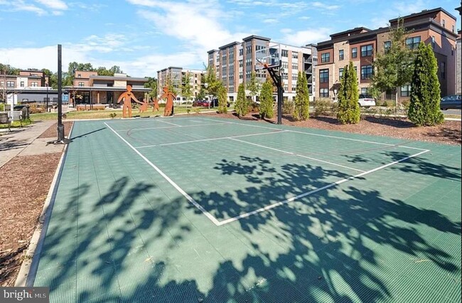 3543 Bellflower Ln in Rockville, MD - Building Photo - Building Photo