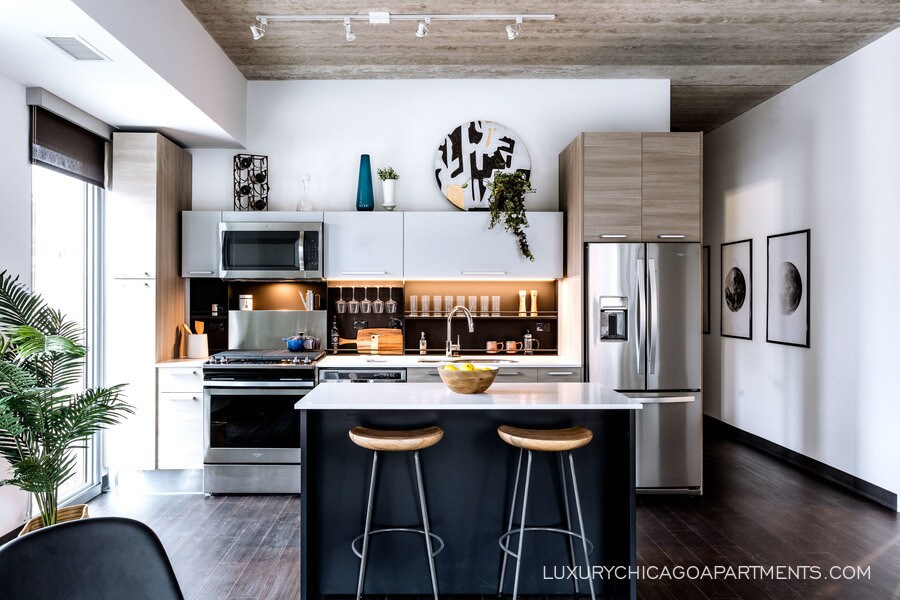 710 W Grand Ave-Unit -809 in Chicago, IL - Building Photo