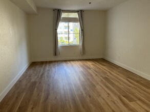 535 Pierce St in Albany, CA - Building Photo - Building Photo