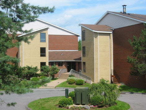 Forest View Apartments in Halifax, NS - Building Photo