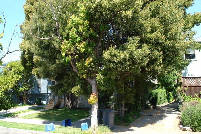 Stuart Street Apartments in Berkeley, CA - Building Photo - Building Photo