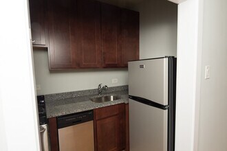 1167 N Dearborn St in Chicago, IL - Building Photo - Building Photo