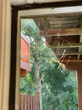 18 Corriedale Ct in Owings Mills, MD - Building Photo - Building Photo