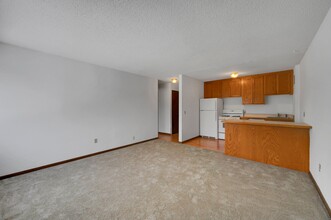 Park Villa Apartments in St. Louis Park, MN - Building Photo - Building Photo