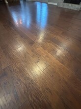 3765 Pauls Pl in Springfield, MO - Building Photo - Building Photo