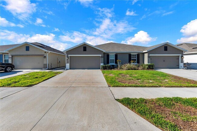 18276 Turning Leaf Cir in Land O Lakes, FL - Foto de edificio - Building Photo