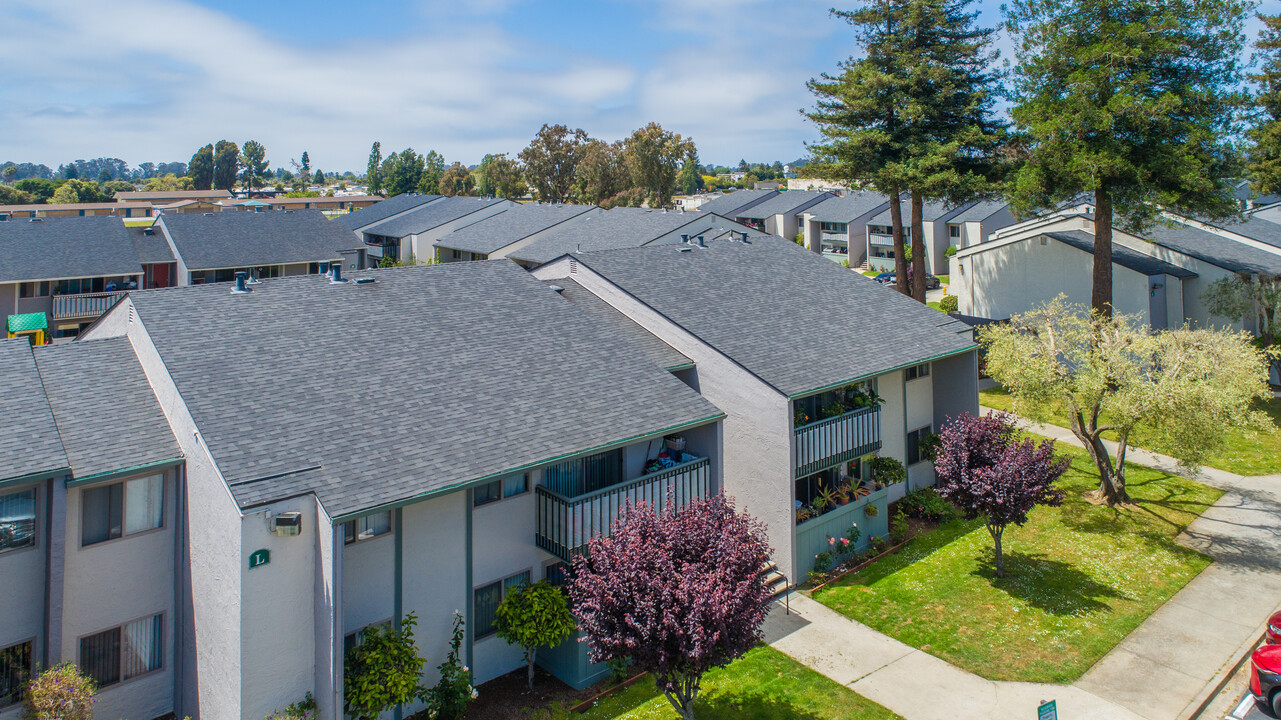 Emerald Bay Apartments in Santa Cruz, CA - Building Photo