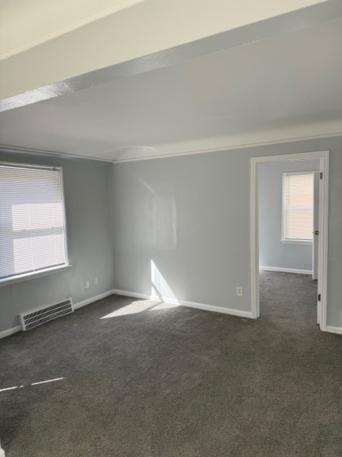 20026 Joann St in Detroit, MI - Building Photo - Building Photo