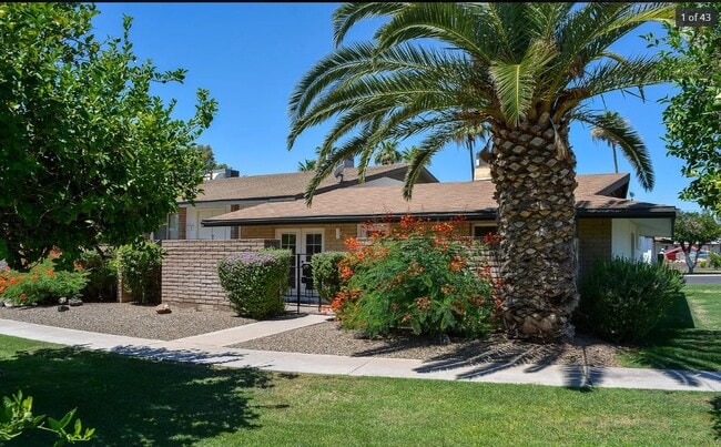 7603 E Minnezona Ave in Scottsdale, AZ - Building Photo - Building Photo