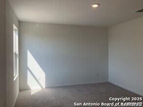 1519 Silver Crk in New Braunfels, TX - Building Photo - Building Photo