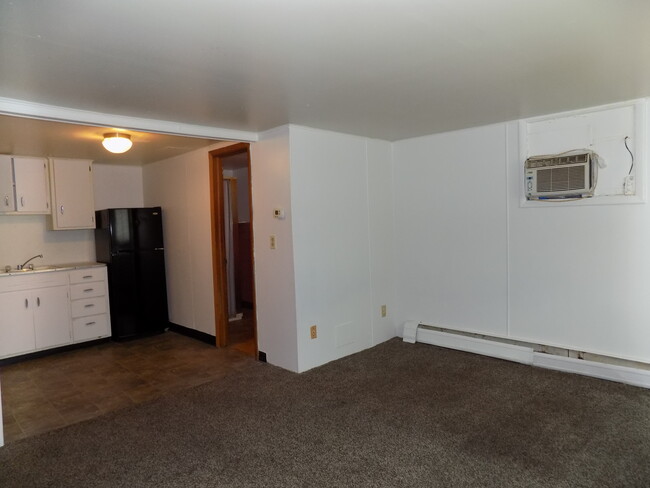 1225 4 1/2 St NW, Unit 6 in Rochester, MN - Building Photo - Building Photo