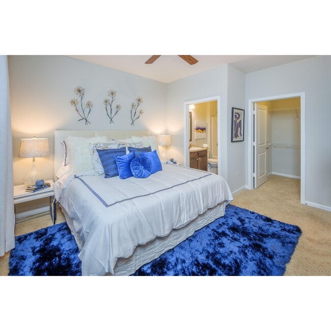 Sterling Town Center in Raleigh, NC - Building Photo - Building Photo