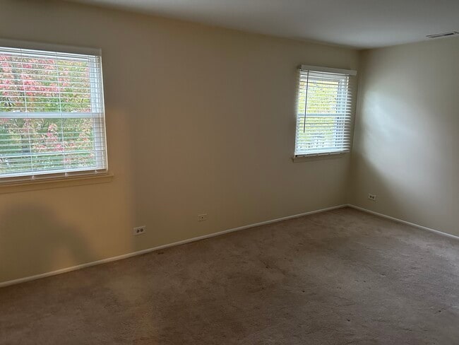 162 Stirling Ln in Schaumburg, IL - Building Photo - Building Photo