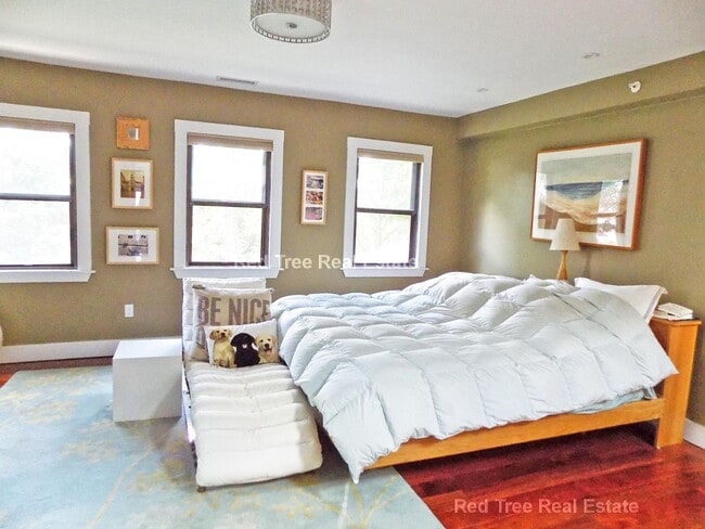 157 Babcock St, Unit 3 in Brookline, MA - Building Photo - Building Photo