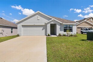 11517 Timber Grv Ln in Spring Hill, FL - Building Photo