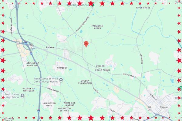 196 Aster Bloom Ln in Raleigh, NC - Building Photo - Building Photo