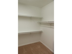 3118 Turkey Creek Trail in Prosper, TX - Building Photo - Building Photo