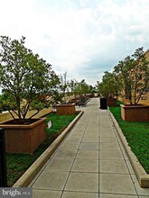 525 N Fayette St, Unit 421 in Alexandria, VA - Building Photo - Building Photo