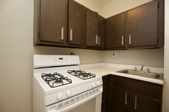 3722 N Pine Grove Ave in Chicago, IL - Building Photo - Building Photo