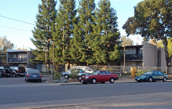 Gibson Oaks in Sacramento, CA - Building Photo - Building Photo