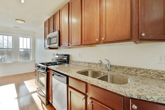 4868 N Hermitage Ave, Unit 1 in Chicago, IL - Building Photo - Building Photo