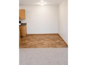 735 W 10th St in Rush City, MN - Building Photo - Building Photo