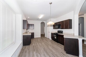 17010 Cory Cornel Ln in Richmond, TX - Building Photo - Building Photo