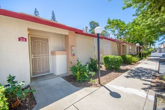 Sherwood Manor Senior Apartments in Modesto, CA - Building Photo - Other