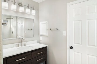 20514 Tree Meadow in San Antonio, TX - Building Photo - Building Photo