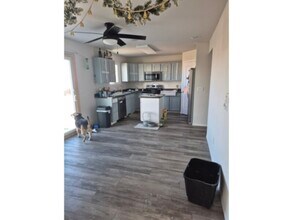 2255 Anthem Pl in Fountain, CO - Building Photo - Building Photo