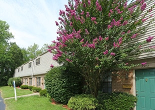 The Woods Apartments in Jeffersonville, IN - Building Photo - Building Photo