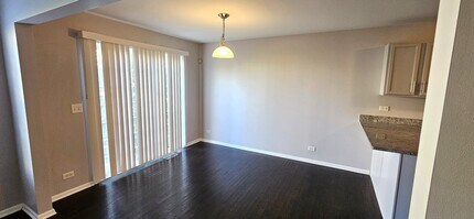 1196 Meagan Ct in Elgin, IL - Building Photo - Building Photo