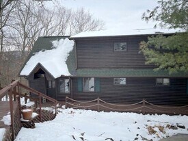 141 Settlers Ln in Branson, MO - Building Photo