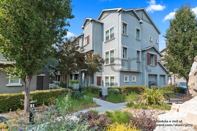 1241 Arabica Terrace in San Jose, CA - Building Photo - Building Photo