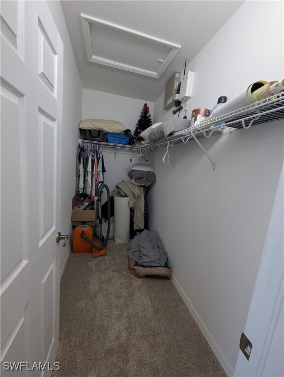 property at 4000 Cherrybrook Loop