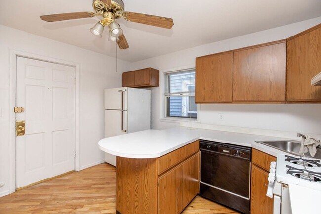 3037 N Southport Ave in Chicago, IL - Building Photo - Building Photo