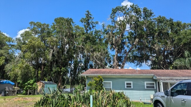 5008 School Rd in Land O Lakes, FL - Building Photo - Building Photo