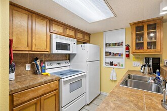 2204 Trailside Dr in Austin, TX - Building Photo - Building Photo