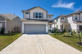 25919 Chicory Dr in Magnolia, TX - Building Photo - Building Photo