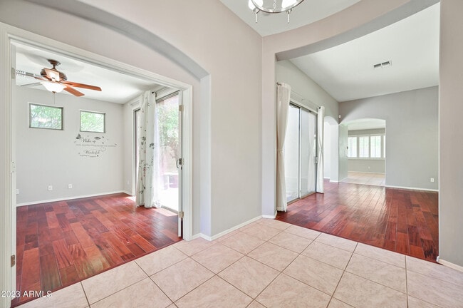 337 West Swan Drive in Chandler, AZ - Building Photo - Building Photo